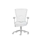 Nester 02
